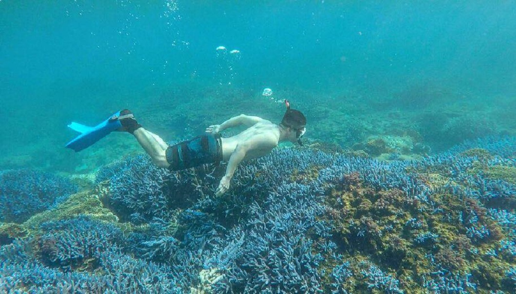 澎湖旅遊-南方四島浮潛